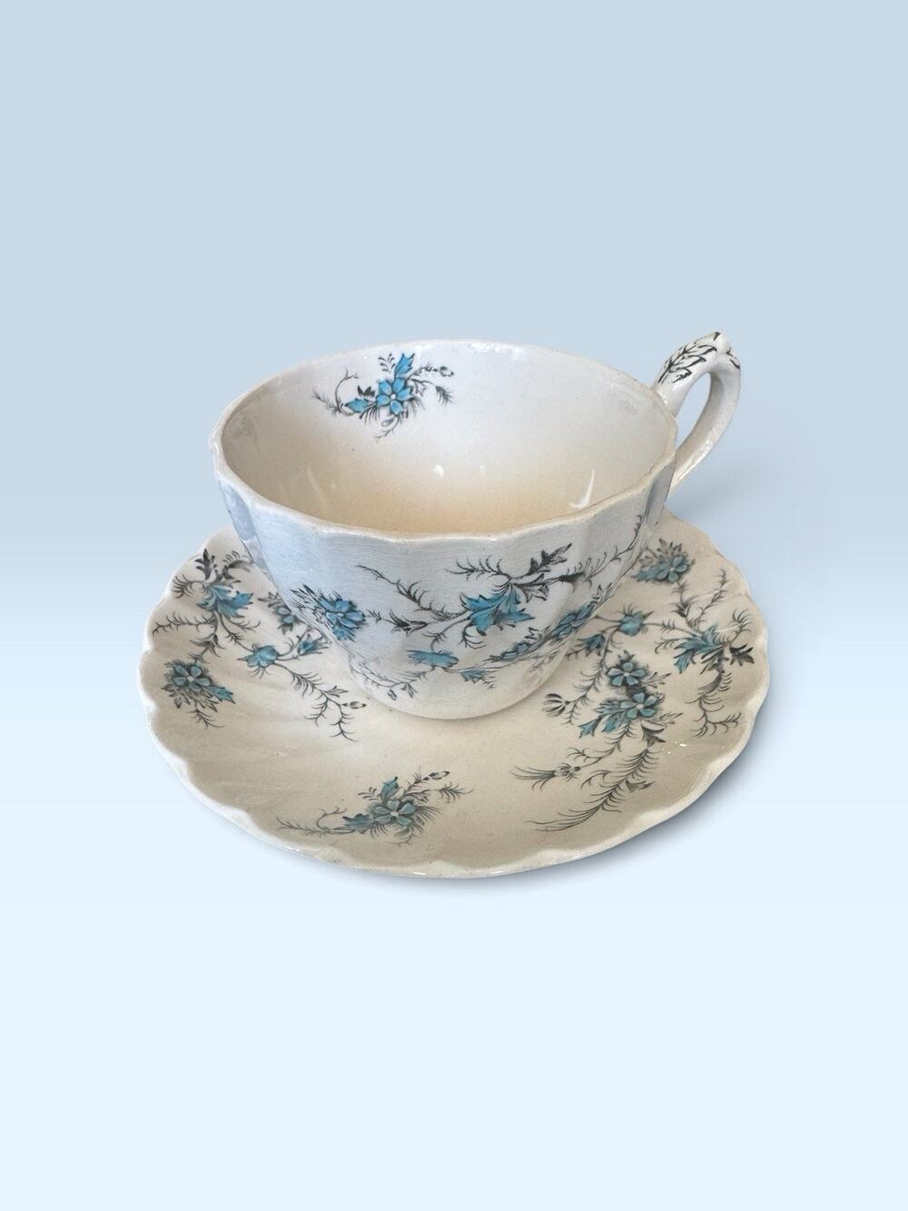 Myott Forget-Me-Not Staffordshire England Blue Floral Cup & Saucer